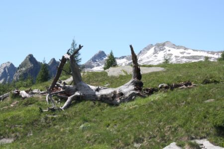 Alpe Cima Monfracchio