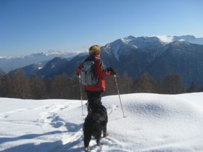 Alpe Pesced Johannes Struder
