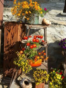 Blumenkunst und Lebensfreude im Bed and Breakfast Casa Gianni