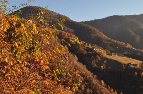 Herbstliche Weide am Berg