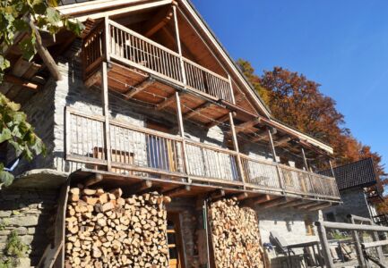Holz vor der Hütte