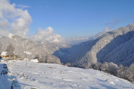 Puderzucker Schnee