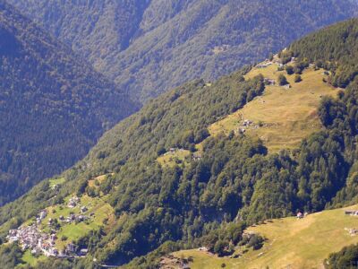 Spruga Tabid Piansecco